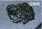 无码免费人妻A片AAA毛片