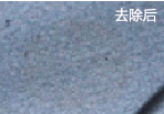 无码免费人妻A片AAA毛片