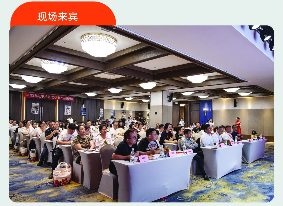 无码免费人妻A片AAA毛片