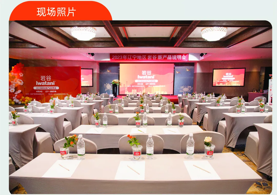 无码免费人妻A片AAA毛片